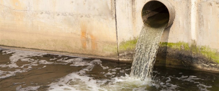 1542963102427499.jpg 1542963102427499.jpg